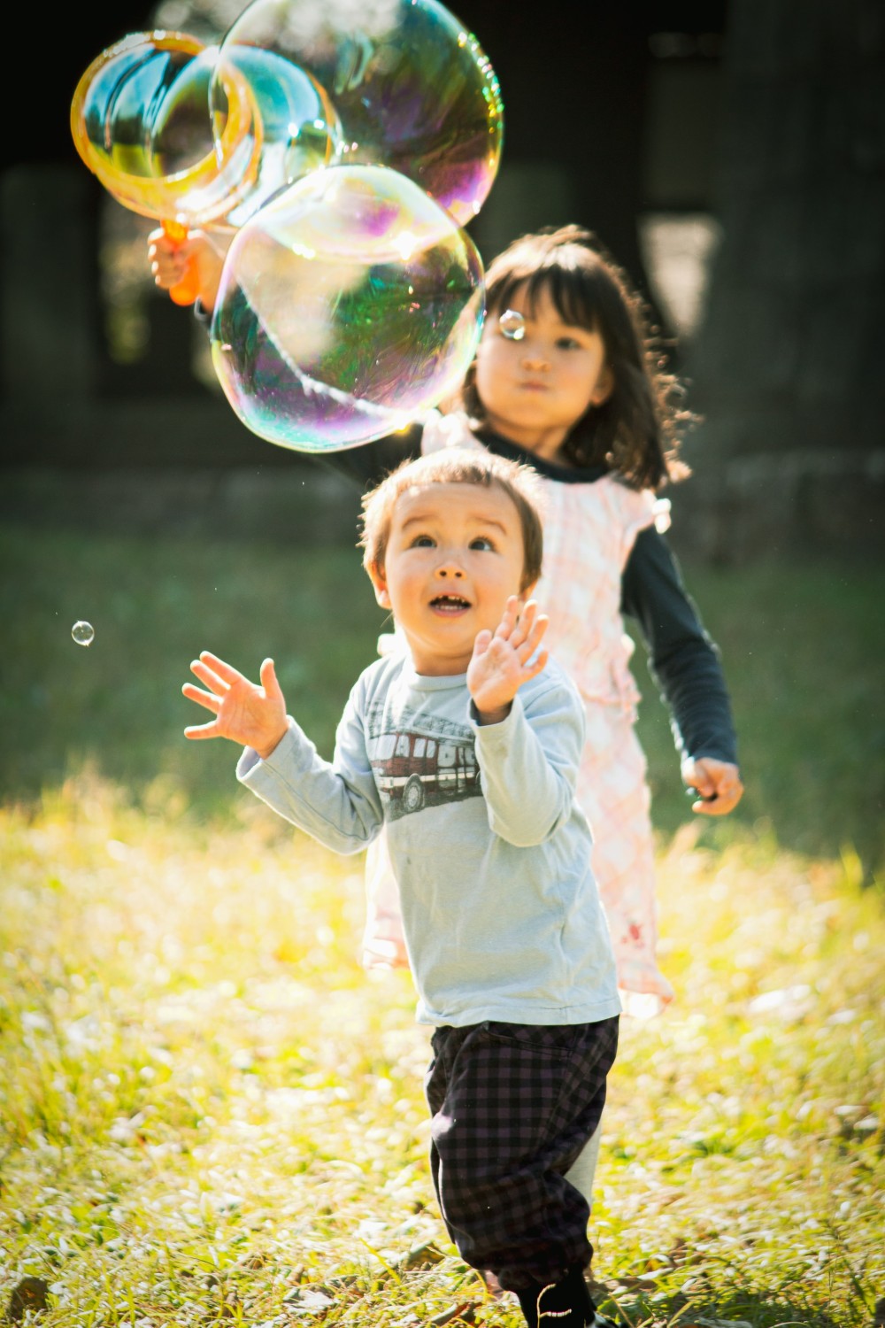 Soap bubbles drifting in soft golden light